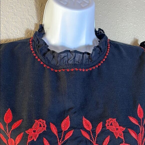 Zara mini Black and Red Embroidered Dress - Picture 7 of 9